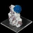 Vibrant Blue Cavansite Cluster on Stilbite - India #62884-1